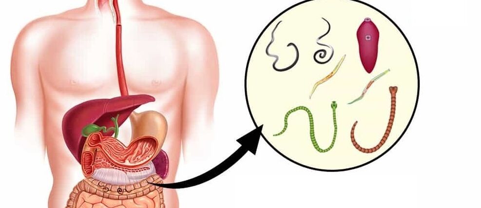 Parasitoak giza gorputzean
